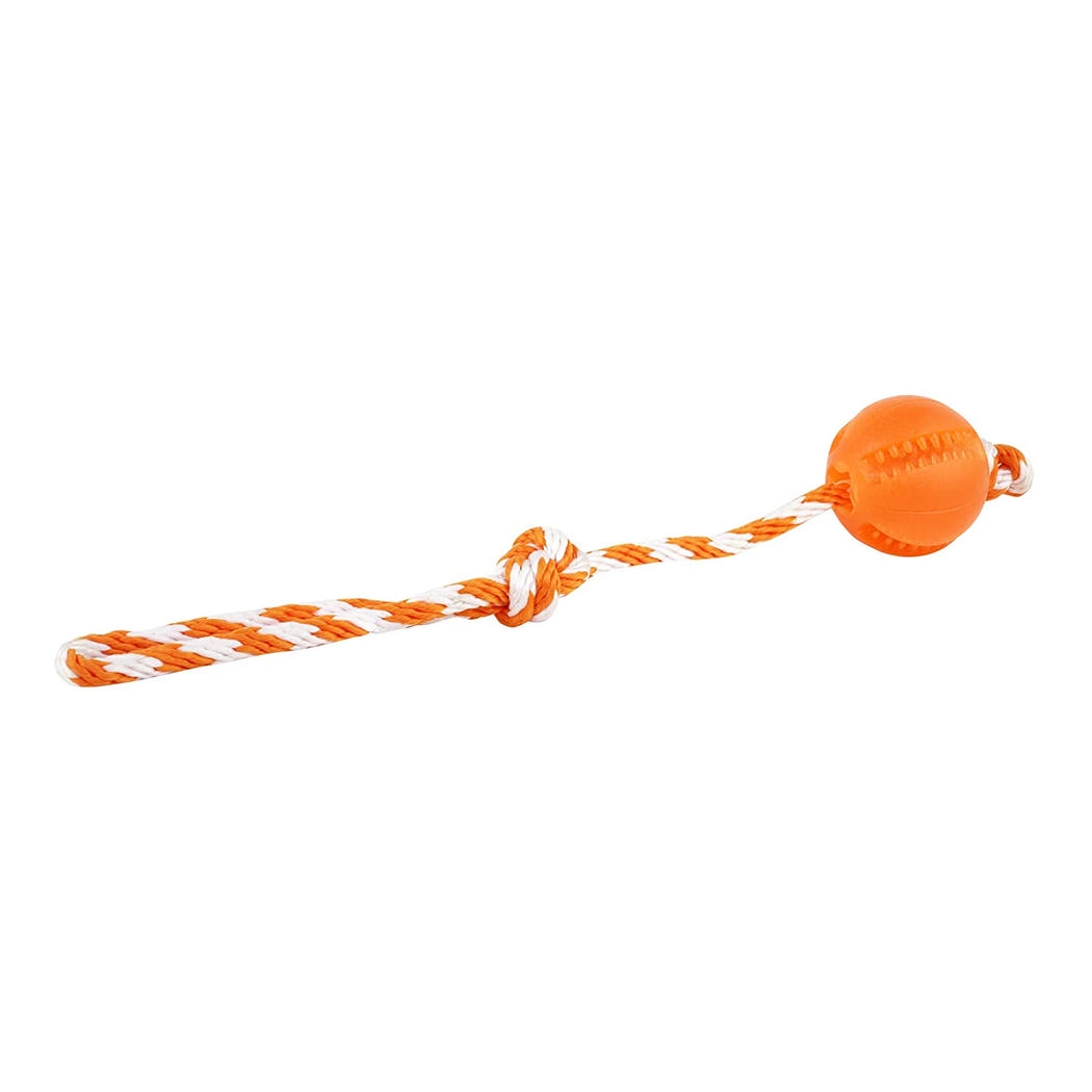 Pawise Dental İpli Top Diş Bakım Köpek Oyuncağı 40cm (Karışık Renkli)