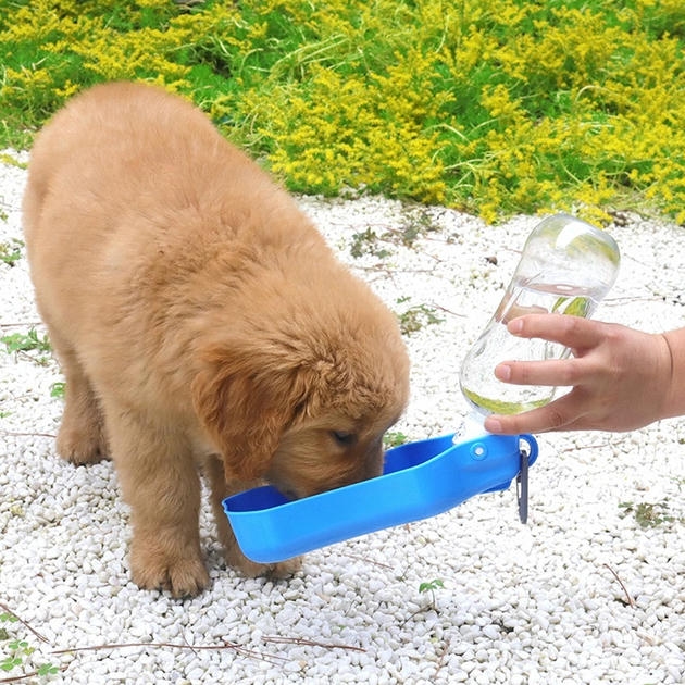 Köpek Seyahat Suluğu 500 Ml