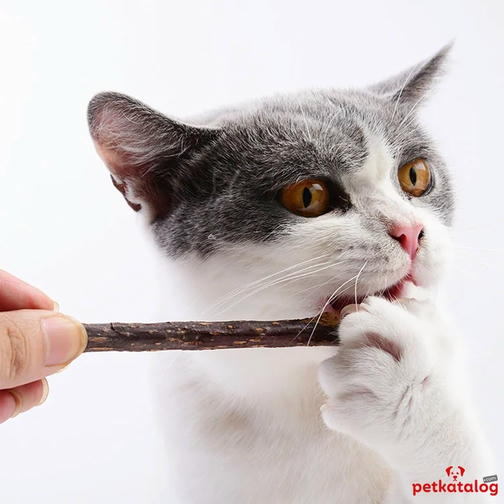 Eastland Matatabi Çubuğu Kedi Diş Temizleyici 5 Adet 12 cm