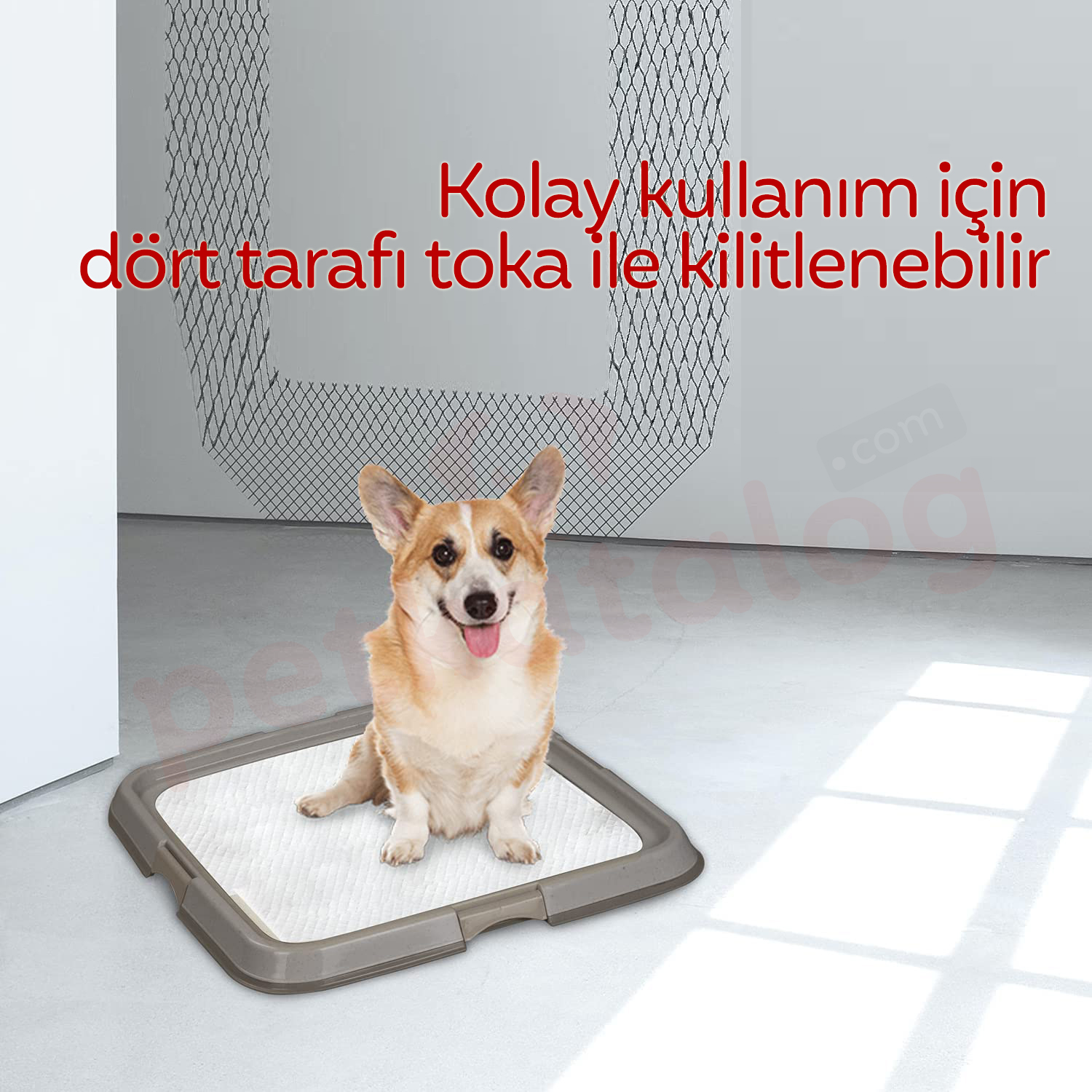 Product Gallery Image