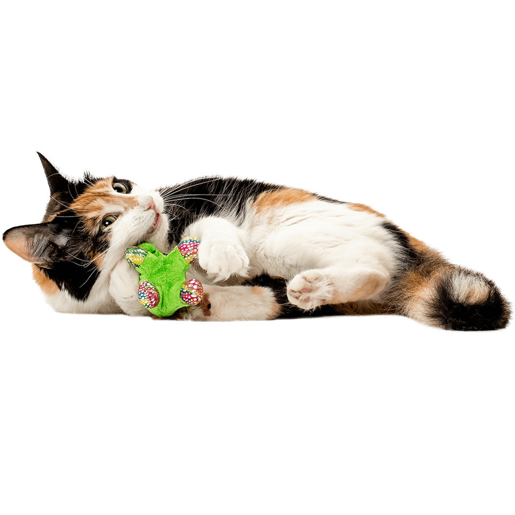 Pawise Meow Meow Life - Unicorn Kumaş Kedi Oyuncağı