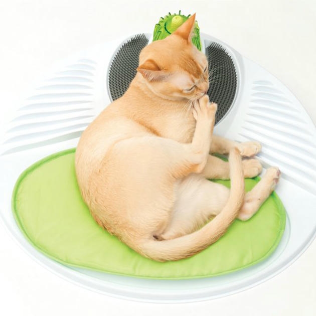 Catit Senses Wellness Center Kedi Oyuncağı 50x15x45cm