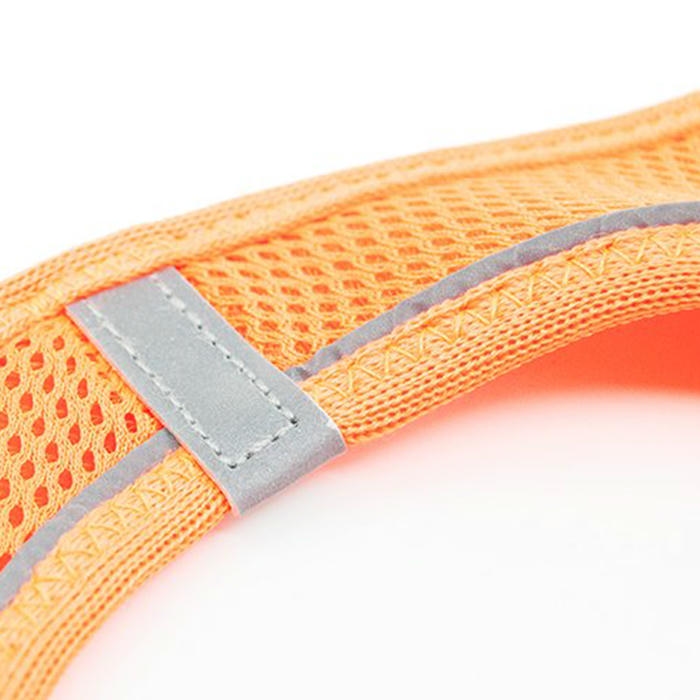 Tailpetz Airmesh Köpek Göğüs Tasması Turuncu [Medium]