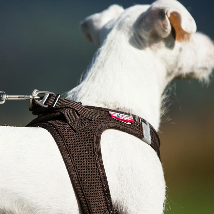 Curli Air Mesh Dogfinder دستگیره سگ کد مخصوص قهوه ای بزرگ