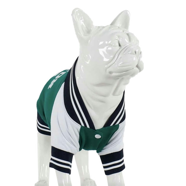 Lindo College Boston Küçük Orta ve Büyük Irk Köpek Sweatshirt Beden 2