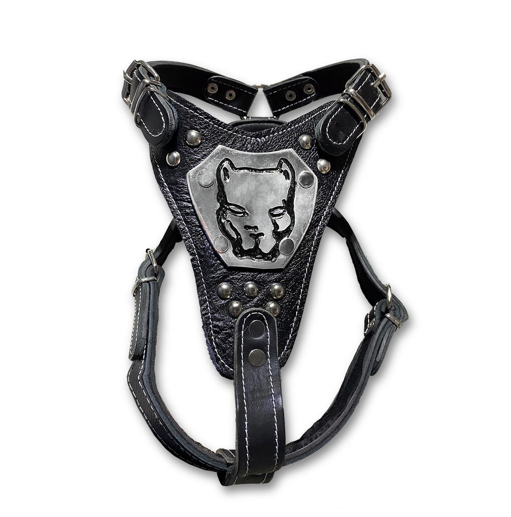 Teng Pitbull Armalı Gladyatör Göğüs Tasması XL Siyah