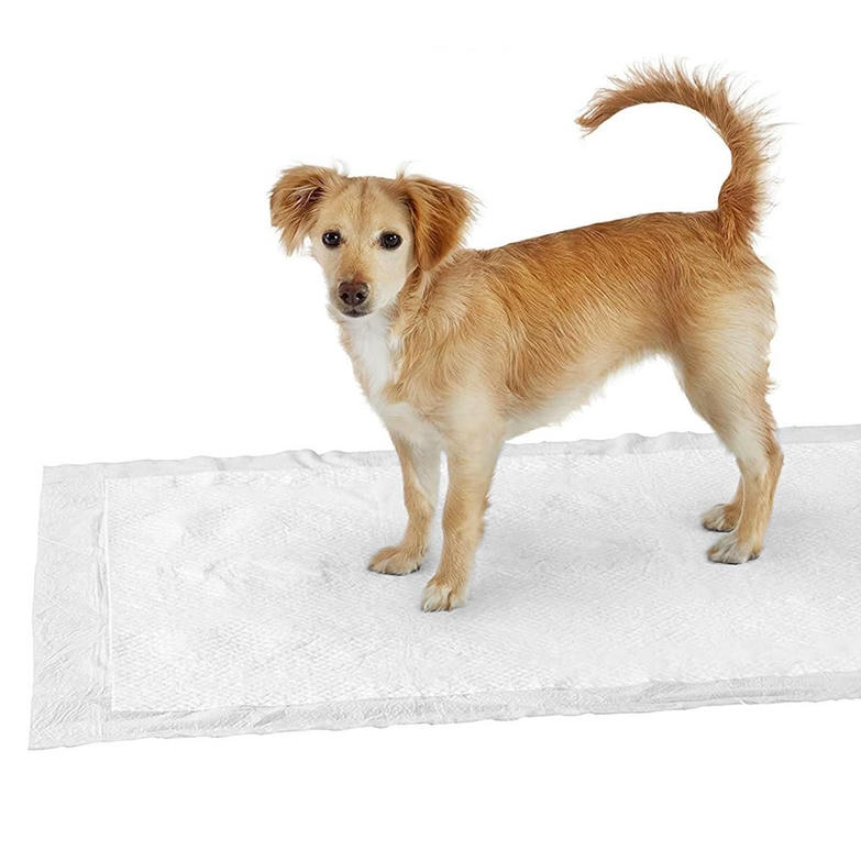 Pet Style Kedi Köpek Çiş Pedi 60x90 Cm 30 Adet
