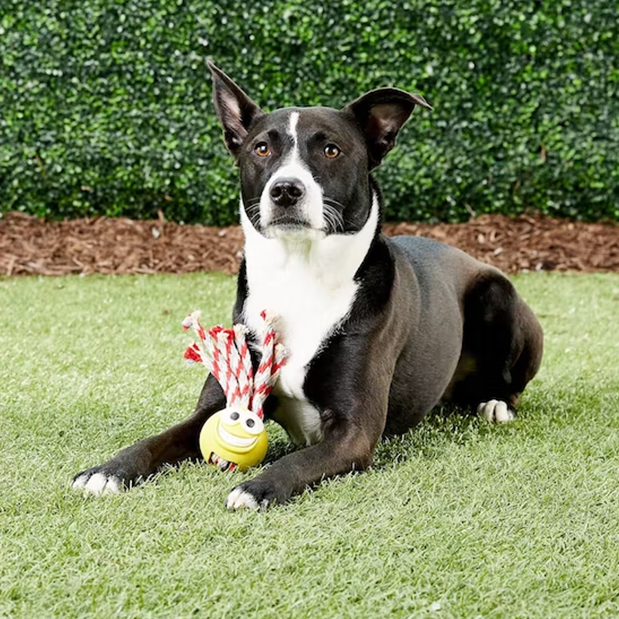 Product Gallery Image