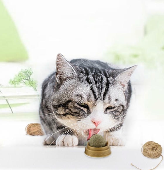 Toys Catnipli Doğal Kedi Yalama Topu 6 Cm