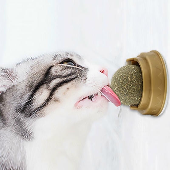 Toys Catnipli Doğal Kedi Yalama Topu 6 Cm