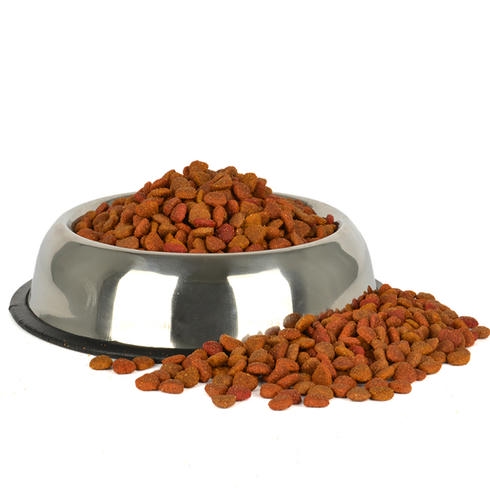 Jungle غذای گربه کیبلد رنگی 15 Kg