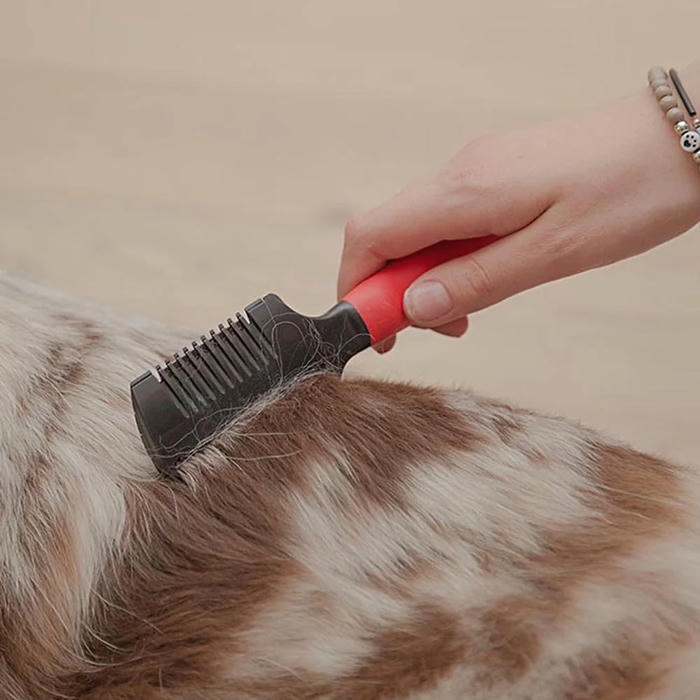 Ferplast Gro 5991 Köpekler İçin Jiletli Tarak