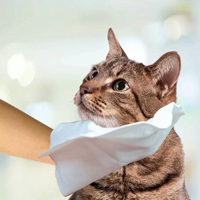 Simple Solution Kedi ve Köpek İçin Islak Temizlik Eldiveni 7'li
