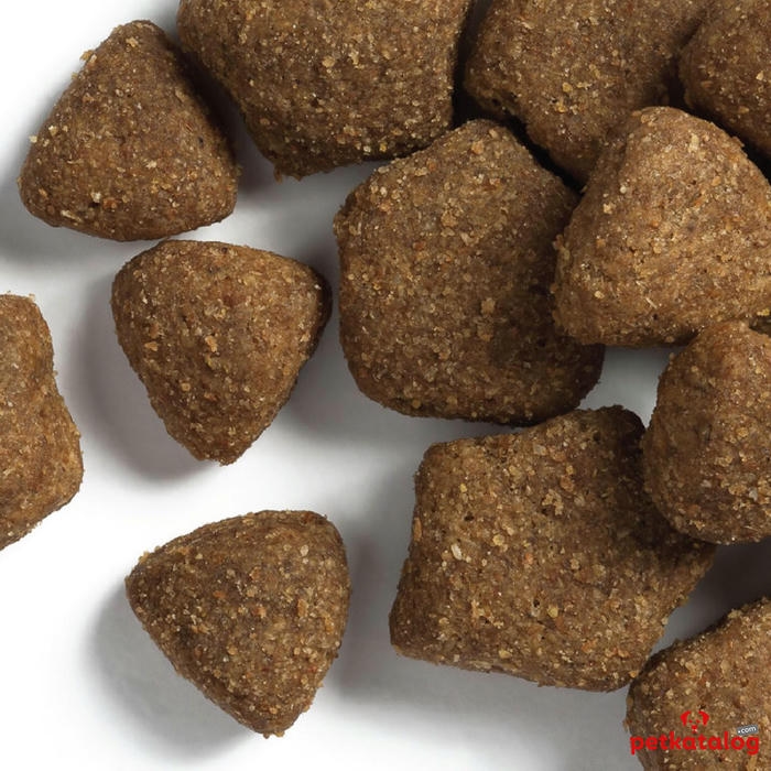 Dog Chow غذای سگ بالغ با بره 14 کیلوگرم