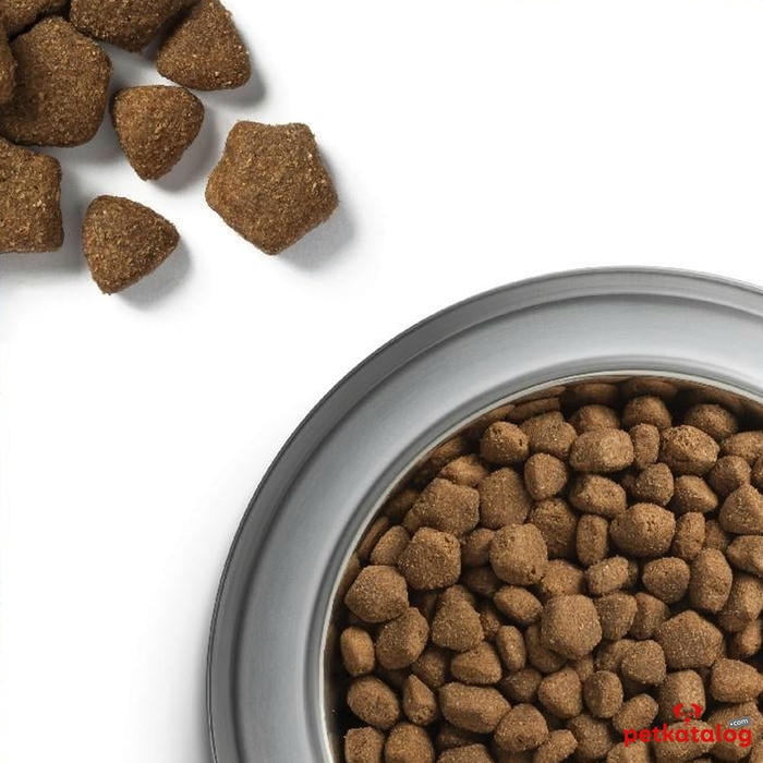 Dog Chow غذای سگ بالغ با بره 14 کیلوگرم