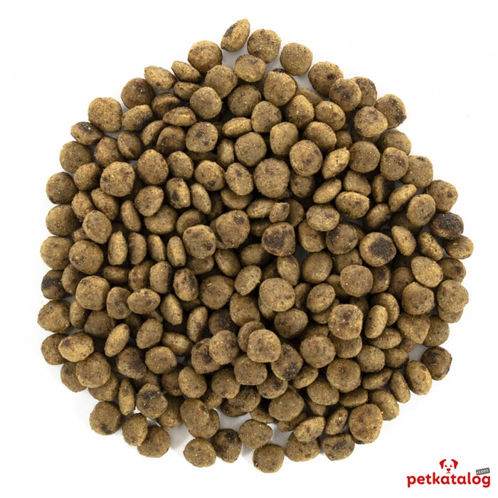 Brit Care Mini Grain-Free Sensitive Geyikli Küçük Irk 2 Kg Köpek Maması