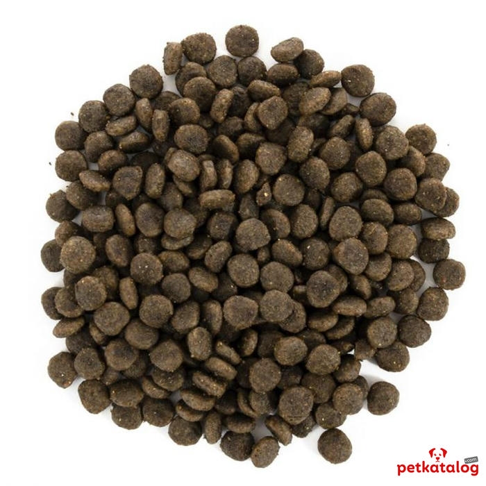 Brit Care Mini Grain-Free Hair & Skin Somonlu Küçük Irk 2 Kg Köpek Maması