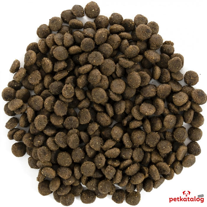 Brit Care Mini Grain-Free Puppy Kuzu Etli Küçük Irk Yavru 2 Kg Köpek Maması