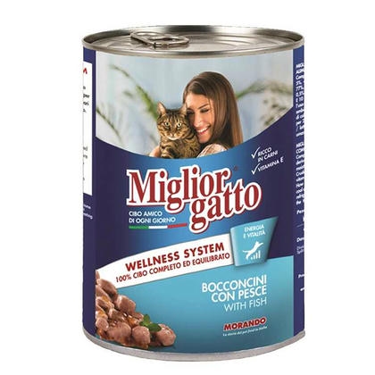 Miglior Gatto Balıklı Kedi Konservesi 405GR