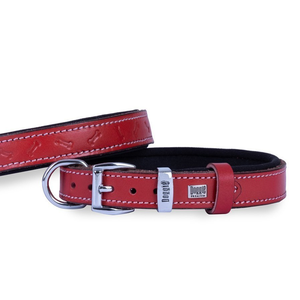 Doggie Yumuşak Dokulu Kemik Desenli Köpek Boyun Tasması Kırmızı 2x30-35cm