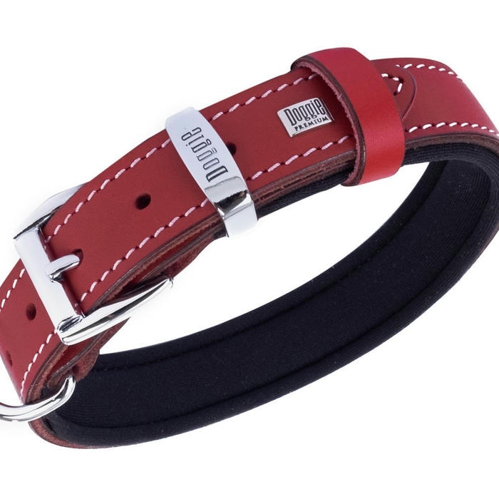 Doggie Comfort Patili Deri Köpek Boyun Tasması Kırmızı 2,5 x 50 cm