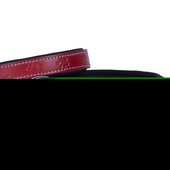 Doggie Konforlu Gerçek Deriden El Yapımı Pati Desenli Köpek Boyun Tasması Kırmızı 2x35-40cm