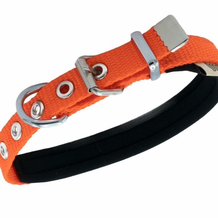 Doggie Dokuma Softlu Sade Köpek Boyun Tasması Turuncu 2x35-40cm