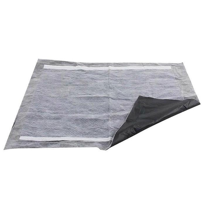Pawise Karbonlu Köpek Çiş Pedi 60x90cm (10'lu)