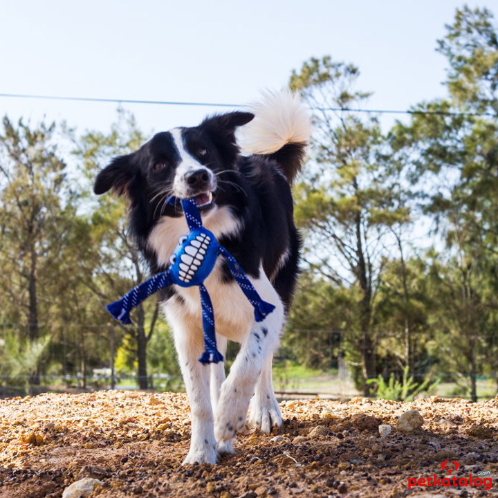 Product Gallery Image