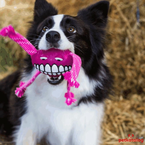 Rogz Toyz Grinz Flossy اسباب بازی مراقبت از دندان سگ Smiley Face [Small] 16,5cm (صورتی)