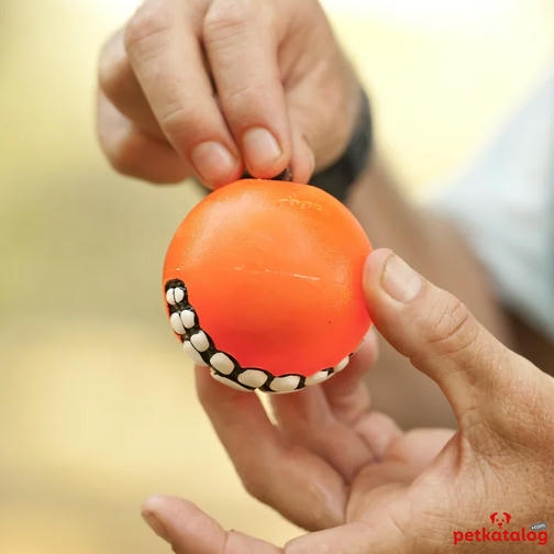 Rogz Toyz Grinz توپ بازی سگ خندان با کاسه خوراکی [Medium] 6,4 cm (آبی)