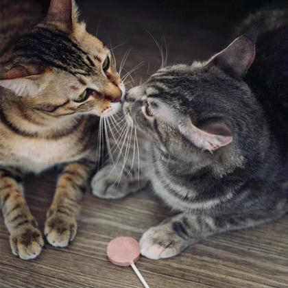 Ranova Tavuklu ve Kızılcıklı Üriner Sistem Destekleyici Kurutulmuş Lolipop Kedi Ödülü 10lu