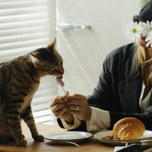 Product Gallery Image