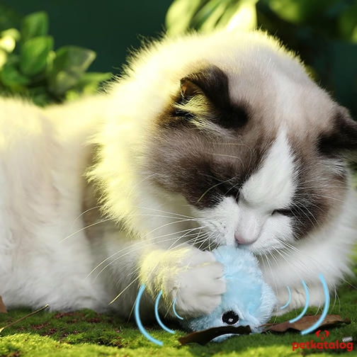 Demirhan Chirping Ball 3 Farklı Seste Peluş Kedi Topu Oyuncağı 5 cm