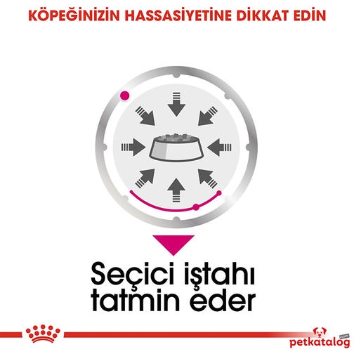 Royal Canin Exigent کیسه مخصوص سگ بزرگسالان کنسرو شده 85 Gr