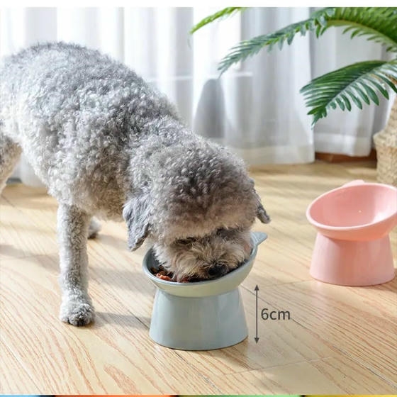 Wishhome Kedi ve Köpek Plastik Mama Kabı (Karışık Renkler)