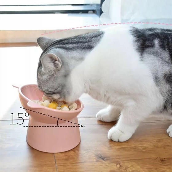 Wishhome Kedi ve Köpek Plastik Mama Kabı (Karışık Renkler)