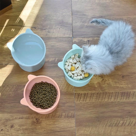 Wishhome Kedi ve Köpek Plastik Mama Kabı (Karışık Renkler)