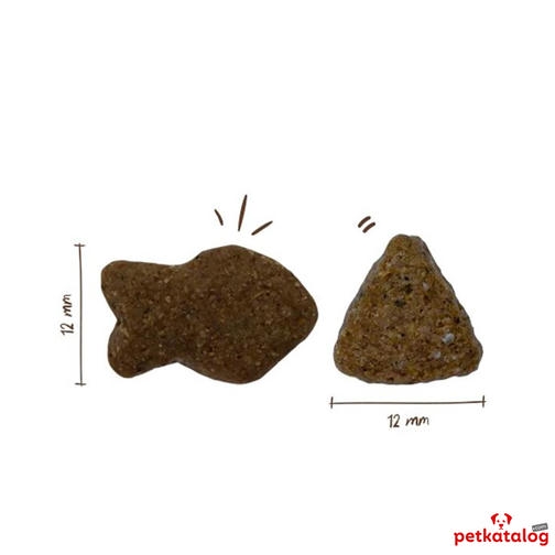 Bosch Adult Salmon & Potato 3 کیلوگرم غذای سگ بالغ با سالمون