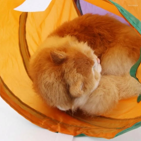 Teng L Şeklinde Kedi Oyun Tüneli