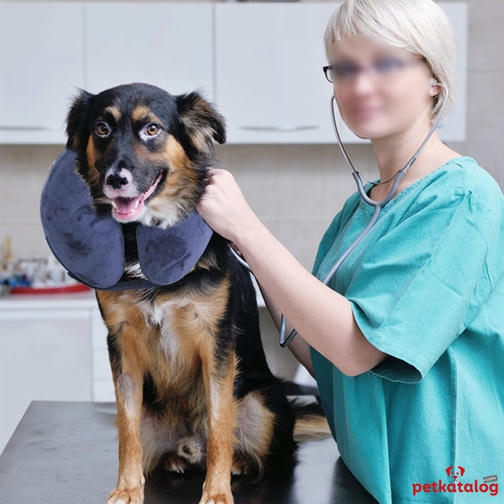 Pawise Köpek İçin Şişirilebilir Boyunluk ø25-33 Cm