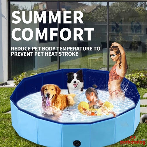 Pawise Kaydırmaz Tabanlı Katlanabilir Çocuk ve Köpek Havuzu 80x20cm