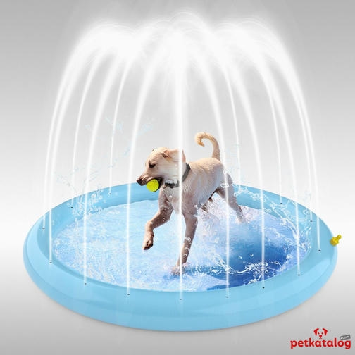 Pawise Bahçe Hortumuna Bağlanabilen Su Sıçratmalı Köpek Havuzu 150cm
