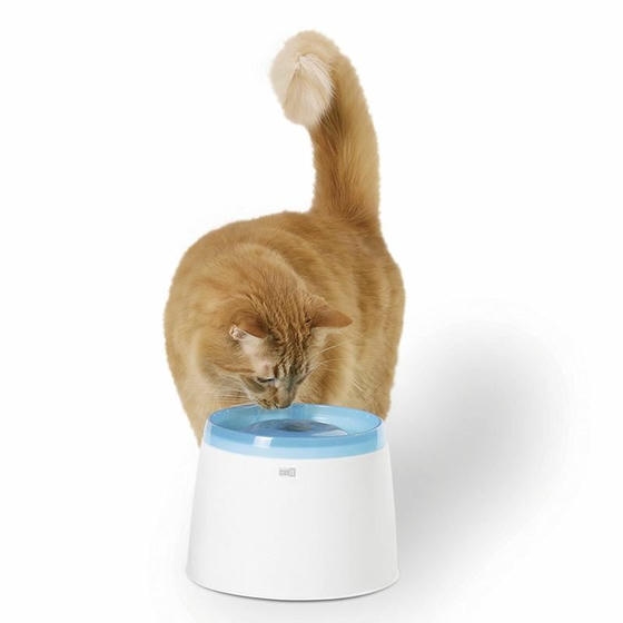 Catit Fresh-Clear کاسه آب اتوماتیک گربه و سگ کوچک 2 Lt