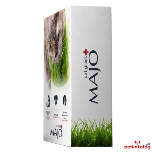 Majo Naturel Kedi Çimi (3 Kullanımlık Yedek Tohumlu)