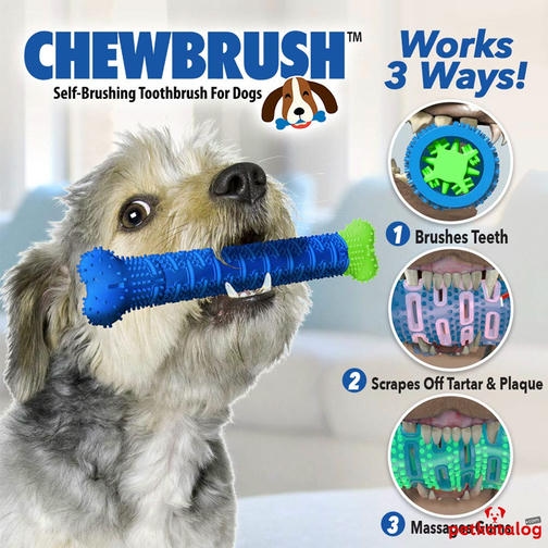 Chewbrush Köpekler İçin Diş Kaşıma ve Temizleme Oyuncağı (Macun gerektirmez)