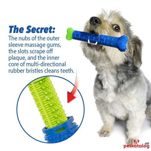 Chewbrush Köpekler İçin Diş Kaşıma ve Temizleme Oyuncağı (Macun gerektirmez)