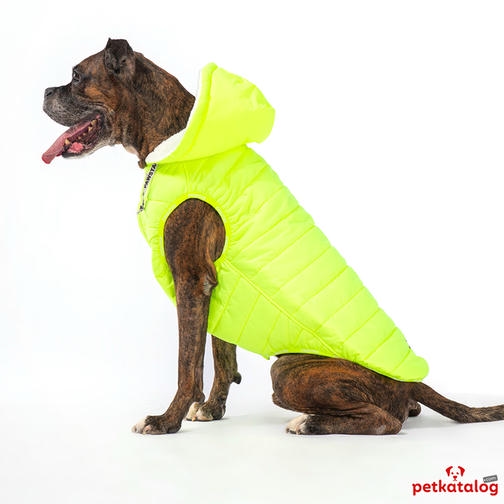 Pawstar Railway Neon Yeşil Büyük Irk Köpek Yağmurluğu (Kolsuz) 20-29KG [5XL] - Su itici özelliktedir