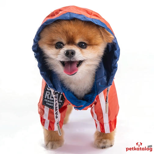 Pawstar Bicolor Turuncu-Lacivert Küçük Irk Köpek Yağmurluğu 2,6-4,5KG [M] - Su geçirmez