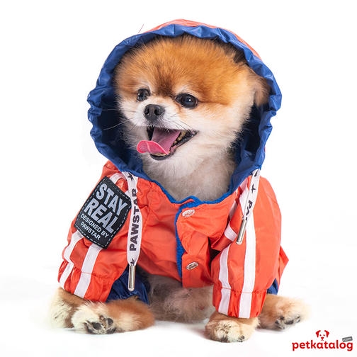 Pawstar Bicolor Turuncu-Lacivert Küçük Irk Köpek Yağmurluğu 4,6-6,5KG [L] - Su geçirmez
